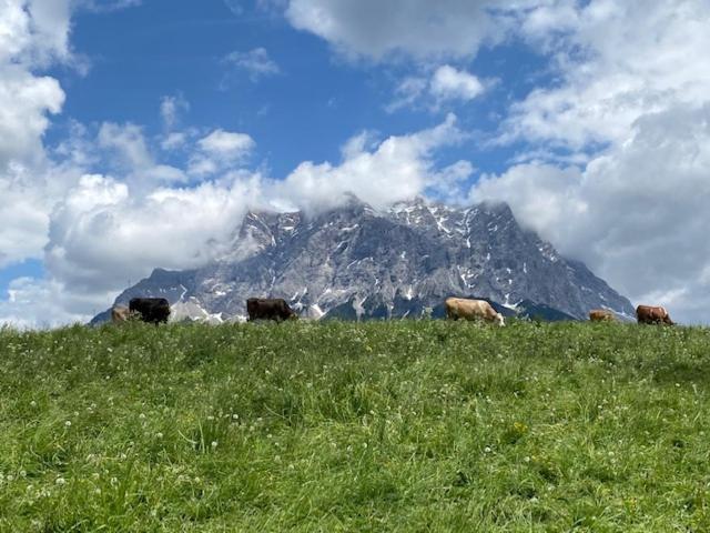 Bergheimat Tirol Διαμέρισμα Lermoos Εξωτερικό φωτογραφία